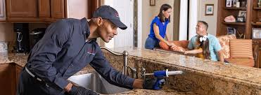 Best Pest Control for Multi-Family Homes  in Meadow Vale, KY